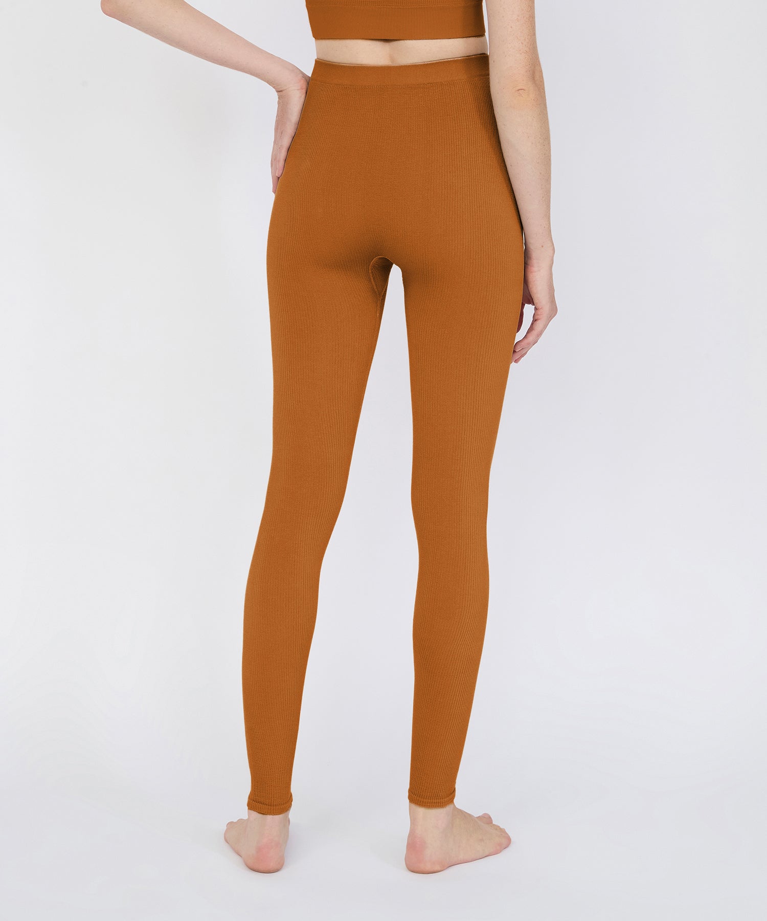 Jane High Rise Legging 25" - Terracotta