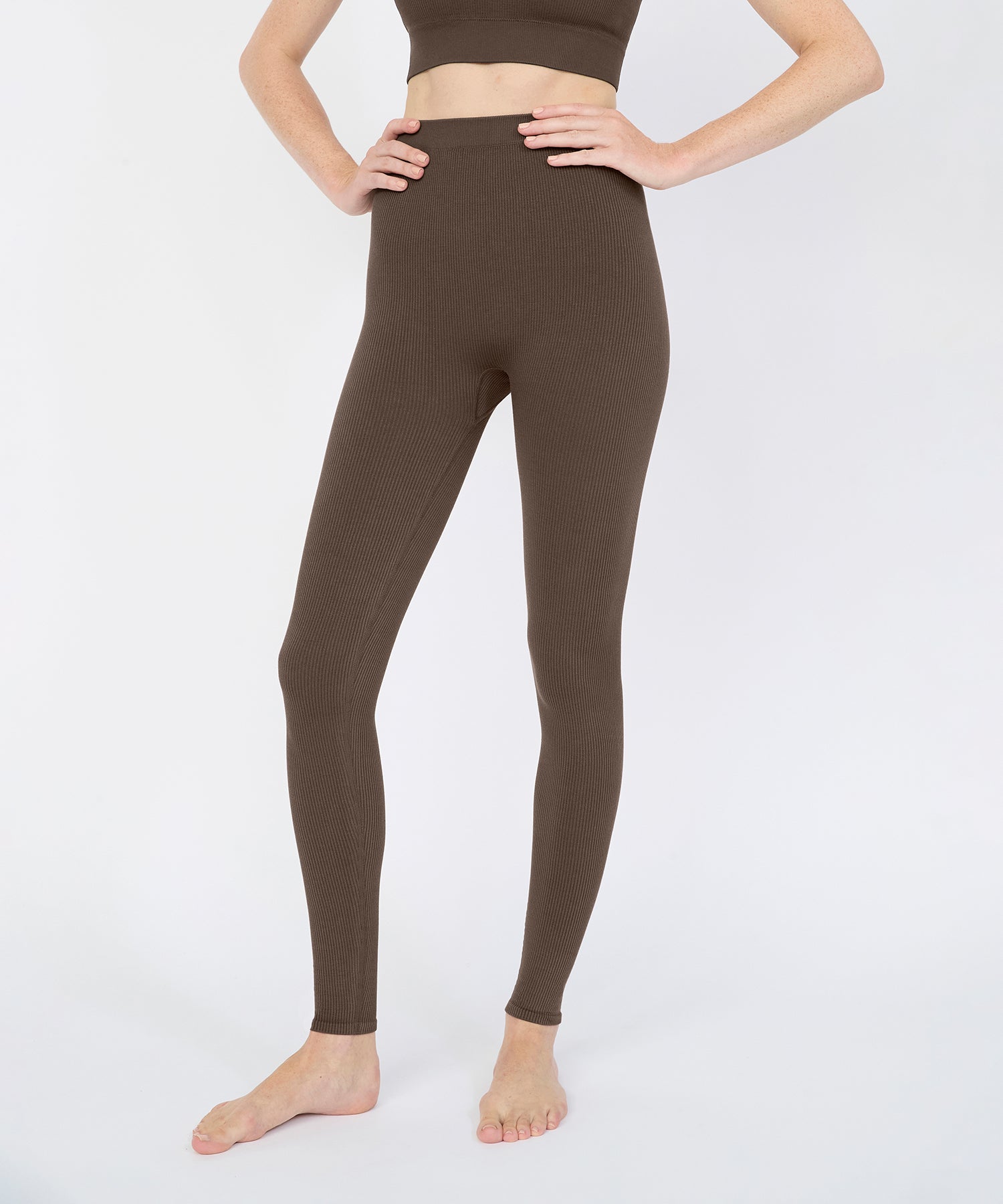 Jane High Rise Legging - Acorn